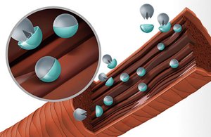 topchic asia shade extension m teaser 568x369px tech02 2019