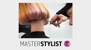 ksd_04-itpv-585_325px-master-stylist