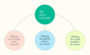 Chart showing different parts of the Kirei lifestyle