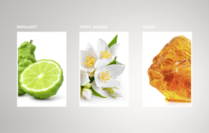 KS_Web_Fragrance_Modul