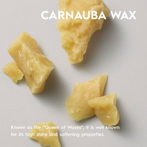 CurlBalm_Ingredient_CarnaubaWax_ECOM
