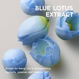 VolumizingShampoo_Ingredient_BlueLotusExtract_ECOM