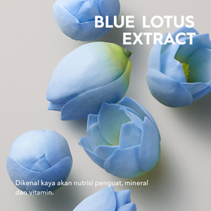 Ingredient_BlueLotusExtract_ECOM_id