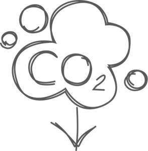 co2_emission_icon_grey