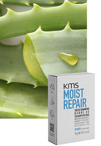 moistrepair-solid-shampoo