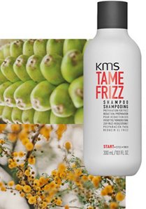 tamefrizz-shampoo