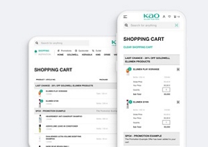 Kao Pro Shop shopping cart page with selected products open on a smartphone