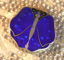Blue Butterflyのリンク