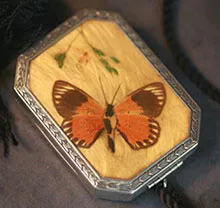 Oriental Butterflyのリンク
