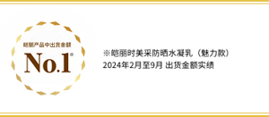 持采UV高效防曬水凝乳EX 2024年2~9月日本出貨實績金額