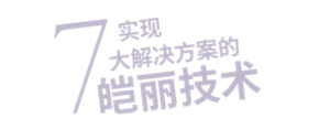 7实现 大解决方案的 皑丽技术