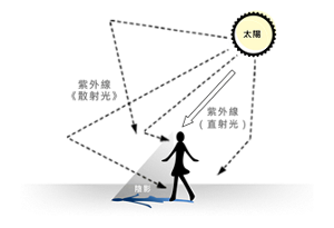 只要阻擋直射的陽光就好了嗎？