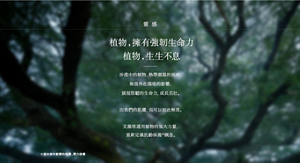 靈感 植物，擁有強韌生命力 植物，生生不息  沙漠中的植物、熱帶潮濕的雨林， 無畏外在環境的影響， 展現堅韌的生命力，成長茁壯。  而我們的肌膚，也可以如此無畏。  艾薇塔運用植物的強大力量， 重新定義抗齡保養※概念。  ※適合該年齡層的保濕、彈力保養