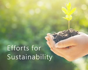 Efforts for Sustainability