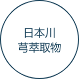日本川芎根提取物