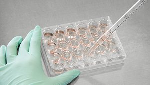 画像：原料試験イメージ