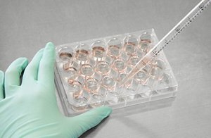 画像：試験イメージ