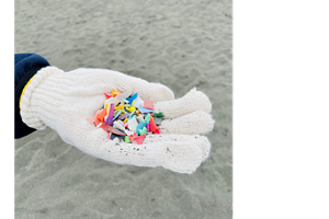 ビーチクリーン　活動風景2