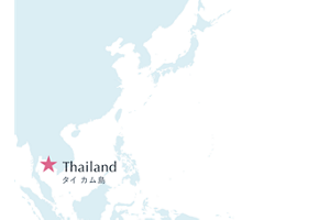 タイカム島 マップ