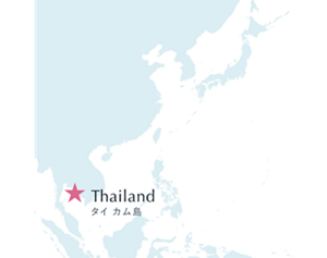 タイカム島 マップ