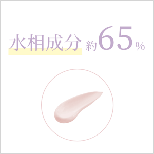 水相成分約65%