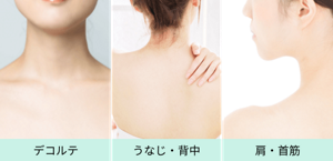 デコルテ、うなじ・背中、胸・首筋