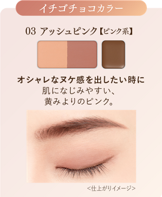 A_eyebrow_color-03