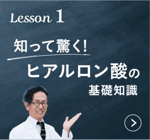 Lesson 1　知って驚く!ヒアルロン酸の基礎知識