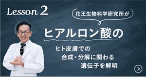 Lesson 2　花王生物科学研究所がヒアルロン酸のヒト皮膚での合成・分解に関わる遺伝子を解明