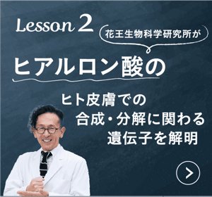 Lesson 2　花王生物科学研究所がヒアルロン酸のヒト皮膚での合成・分解に関わる遺伝子を解明