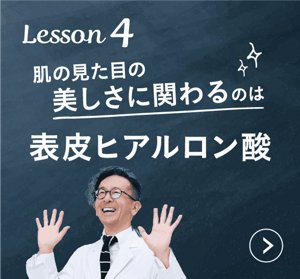 Lesson 4　肌の見た目の美しさに関わるのは表皮ヒアルロン酸