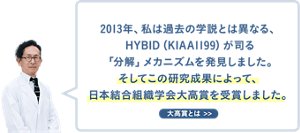 2013年、私は過去の学説とは異なる、HYBID（KIAA1199）が司る「分解」メカニズムを発見しました。そしてこの研究成果によって、日本結合組織学会大高賞を受賞しました。