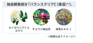 独自開発成分「バランスクリアC(保湿)*6」　セイヨウニワトコエキス チョウジ抽出液 海藻エキス-1