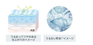 うるおってツヤのある仕上がりイメージとうるおい貯水*5イメージ