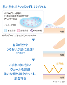 肌に触れるとみずみずしくくずれる。 みずみずしい感触を叶えたのは水性成分が多いP/O/W*処方。*パウダーイン/オイルイン/ウォーター 有効成分やうるおいが肌に浸透*。*角層まで こすれ・水に強いヴェールを形成。強力な紫外線をカットし、肌を守る。