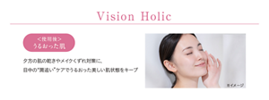 Vision Holic