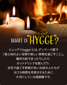 WHAT IS "HYGGE"?　ヒュッゲ（Hygge）とは、デンマーク語で「居心地のよい空間や楽しい時間を過ごすこと」。暖炉の前でまったりしたり、ホットドリンクを飲んだり、自宅で過ごす時間が多い北欧の人たちがおうち時間を充実させるために大切にしている価値観です。
