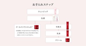 お手入れステップ