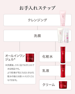 お手入れステップ