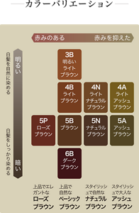 カラーバリエーション