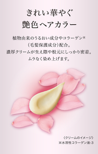 きれい華やぐ艶色ヘアカラー　植物由来のうるおい成分やコラーゲン※（毛髪保護成分）配合。濃厚クリームが生え際や根元にしっかり密着。ムラなく染め上げます。　※水溶性コラーゲン液-3