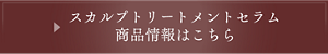 スカルプトリートメントセラム 商品情報はこちら