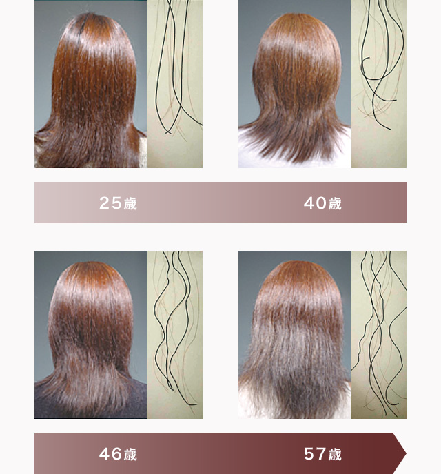髪の変化とは L Equil リクイール カネボウ化粧品