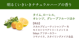 明るくいきいきナチュラルハーブの香り　タイム、ローレル、 オレンジ、グレープフルーツほか　【配合商品】 スカルプビューティシャンプー N、 モイストリペアトリートメントA、 ツヤメイク、スタイリングメイク全品