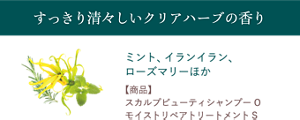 すっきり清々しいクリアハーブの香り　ミント、イランイラン、 ローズマリーほか　【配合商品】 スカルプビューティシャンプー O、 モイストリペアトリートメントS