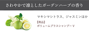 さわやかで凛としたガーデンハーブの香り　マキシマシトラス、ジャスミンほか　【配合商品】 ボリュームプラスシャンプー V