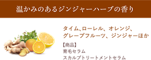 温かみのあるジンジャーハーブの香り　タイム、ローレル、オレンジ、 グレープフルーツ、ジンジャーほか　【配合商品】 育毛セラム、 スカルプトリートメントセラム