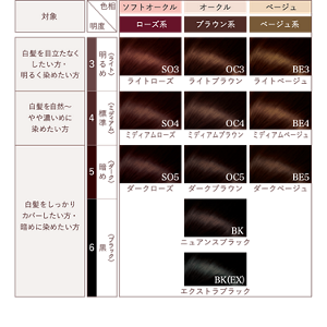 ヘアカラーチャート