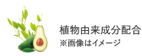 植物由来成分配合
