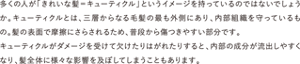 多くの人が「きれいな髪＝キューティクル」というイメージを持っているのではないでしょうか。 キューティクルとは、三層からなる毛髪の最も外側にあり、内部組織を守っているもの。髪の表面で摩擦にさらされるため、普段から傷つきやすい部分です。 キューティクルがダメージを受けて欠けたりはがれたりすると、内部の成分が流出しやすくなり、髪全体に様々な影響を及ぼしてしまうこともあります。